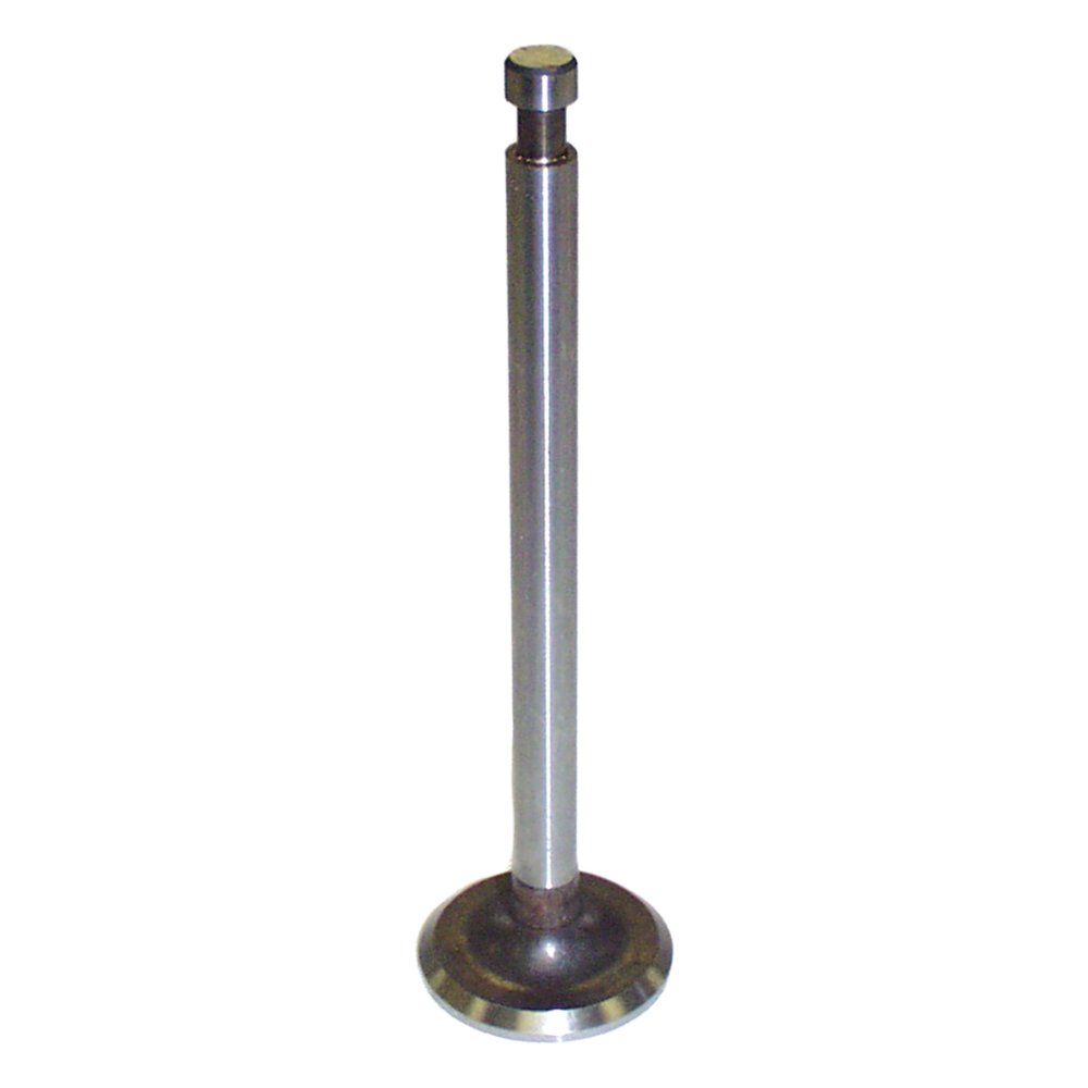 Valve, Intake