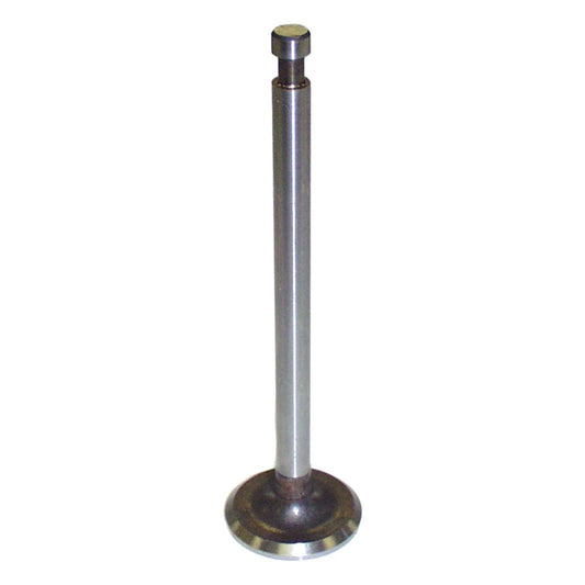 Valve, Intake